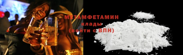 прущие грибы Волосово
