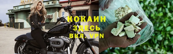 прущие грибы Волосово