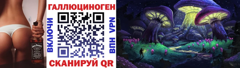 где продают   блэк спрут как войти  Галлюциногенные грибы Psilocybe  Мещовск 